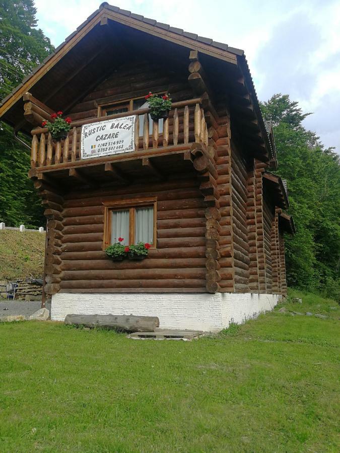 Holiday home Rustic Balea Cartisoara