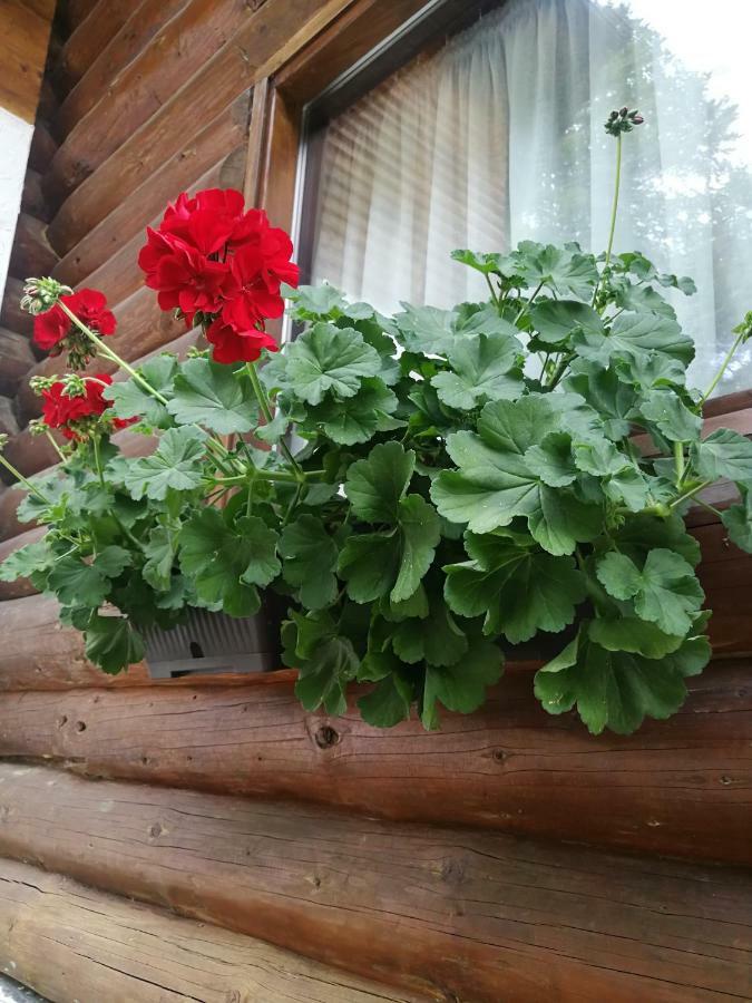 Rustic Balea Cartisoara